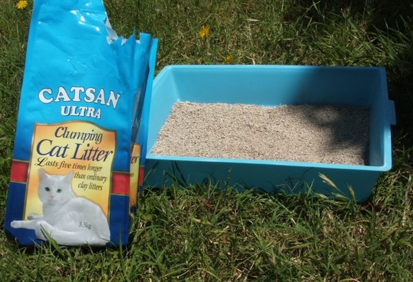 Cat litter to solve excess nutriens?